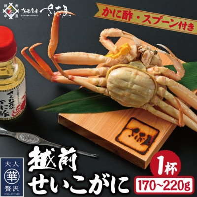 浜茹で越前せいこがに約170～220g1杯　かに酢&かにスプーン付き
