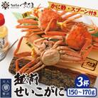 浜茹で越前せいこがに約150～170g3杯　かに酢&かにスプーン付き