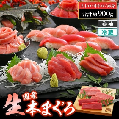 生本まぐろ　赤身・中トロ・大トロ　3種盛り　計約900g