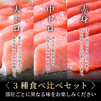 生本まぐろ　赤身・中トロ・大トロ　3種盛り　計約900g