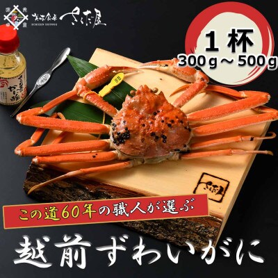【3月より順次発送!】浜茹で越前ずわい300～500g　1杯　かに酢&かにスプーン付き