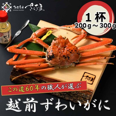 【1月より順次発送!】浜茹で越前ずわい200～300g　1杯　かに酢&かにスプーン付き