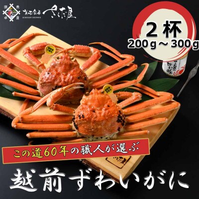 【1月より順次発送!】浜茹で越前ずわい200～300g　2杯　かに酢&かにスプーン付き