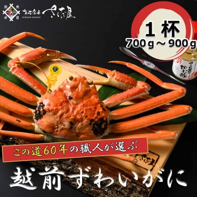 【11月より順次発送!】浜茹で越前ずわい700～900g　1杯　かに酢&かにスプーン付き