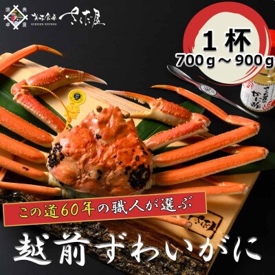 【1月より順次発送!】浜茹で越前ずわい700～900g　1杯　かに酢&かにスプーン付き