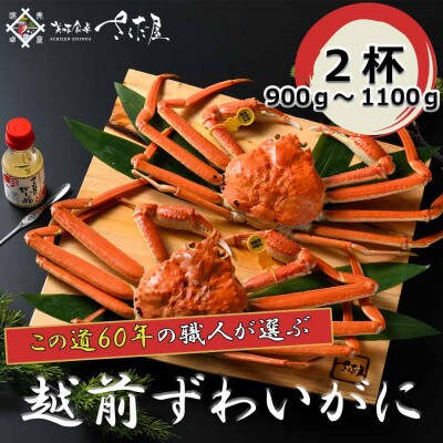 【1月より順次発送!】浜茹で越前ずわい900～1100g　2杯　かに酢&かにスプーン付き