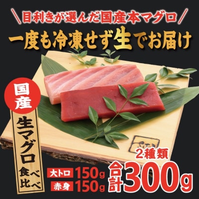 国産生本マグロ 大トロと赤身 2種セット 合計300g