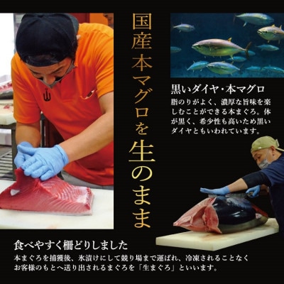 国産生本マグロ 大トロと中トロ 2種セット 合計300g