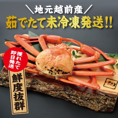 【11月より順次発送!】越前港浜茹で紅ずわいがに　1杯
