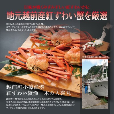 【11月より順次発送!】越前港浜茹で紅ずわいがに　1杯
