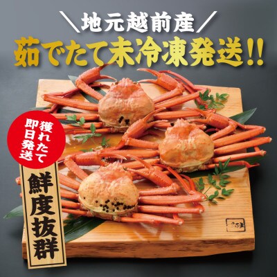 【11月より順次発送!】越前港浜茹で紅ずわいがに　3杯