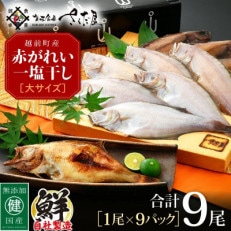 越前干物　赤がれい一塩干し　大サイズ(1尾×9パック入り)