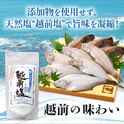 越前干物 赤がれい一塩干し 大サイズ(1尾×9パック入り)