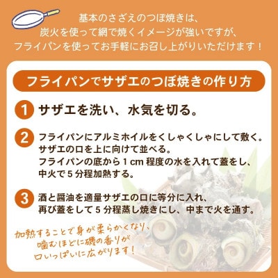 天然 さざえ ≪1kg≫ 加熱用