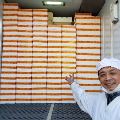 浜茹で越前ずわい約300～400g　1杯　かに酢&かにスプーン付き