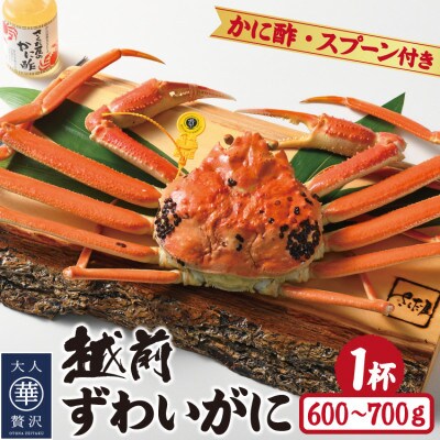 浜茹で越前ずわい約600～700g　1杯　かに酢&かにスプーン付き
