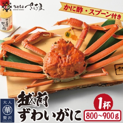 浜茹で越前ずわい約800～900g　1杯　かに酢&かにスプーン付き