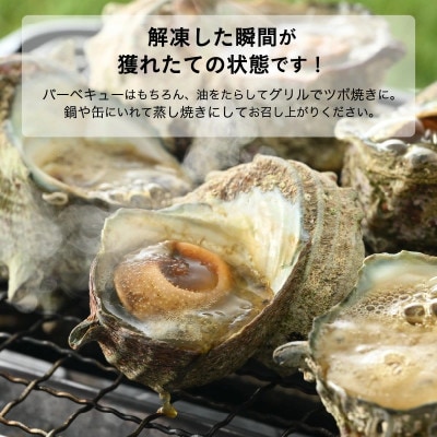 厳選!海鮮BBQ 人気ペアセット「天然さざえ & 天然赤エビ」