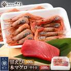 お刺身 セット 甘海老 250g×2P & 本まぐろ 中トロ 100g×1P