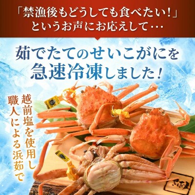 越前産せいこがに　訳あり　サイズ無選別　3杯(冷凍便)