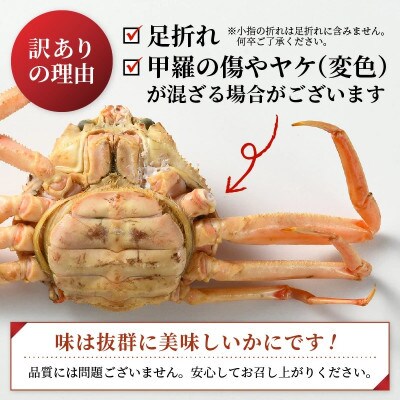 越前産せいこがに　訳あり　サイズ無選別　3杯(冷凍便)