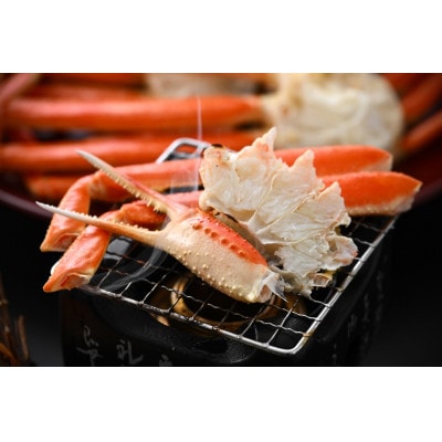 ≪越前産水がに≫ずわいがに雄 約1.05k6肩(3杯分)