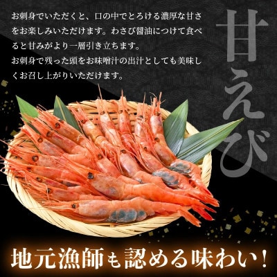 新鮮!えび 2種 食べ比べ セット(甘えび 越前えび)約2～3人前