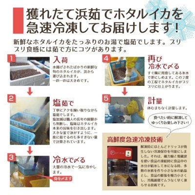 日本海産 ボイルホタルイカ　計500g(250g×2P)【冷凍便】