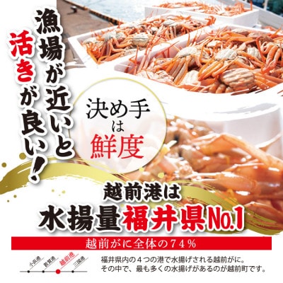 【2～3月発送】浜茹で越前ずわい約600～700g　1杯　かに酢&かにスプーン付き