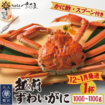 【12～1月発送】浜茹で越前ずわい約1000～1100g　1杯　かに酢&かにスプーン付き