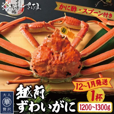 【12～1月発送】浜茹で越前ずわい約1200～1300g　1杯　かに酢&かにスプーン付き