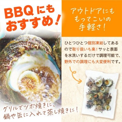 天然 さざえ ≪3kg≫ 加熱用