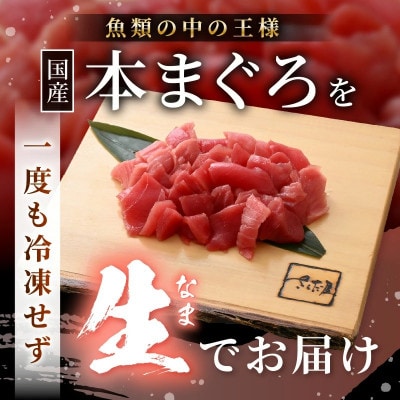 【訳あり】国産 生本まぐろ 切落し 200g
