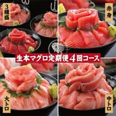 【毎月定期便】生本まぐろ堪能!赤身→中トロ→大トロ→3種まとめてお届け!全4回