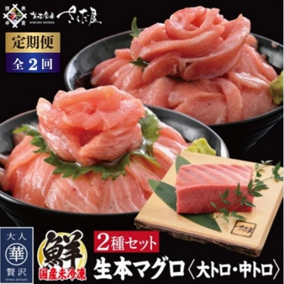 【2ヵ月毎定期便】国産生本マグロ 大トロと中トロ 2種セット 合計300g全2回