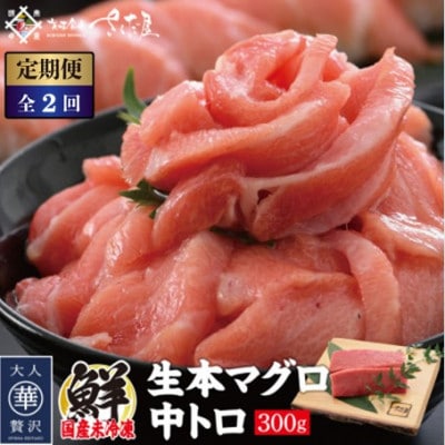 【2ヵ月毎定期便】「生本まぐろ」中トロ　300g(2～3柵)全2回