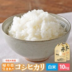 令和4年産コシヒカリ(精米)　10kg
