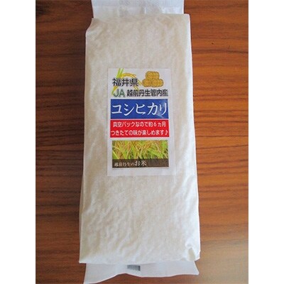 越前焼(飯碗&おかず皿)とコシヒカリ(1kg)セット