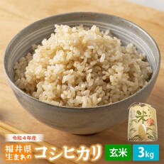 令和4年産コシヒカリ(玄米)3kg | ふるさと納税のお礼品