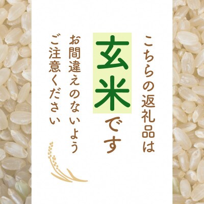 令和4年産コシヒカリ(玄米)5kg