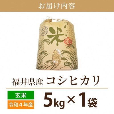 令和4年産コシヒカリ(玄米)5kg