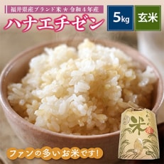 令和4年産ハナエチゼン(玄米)5kg | ふるさと納税のお礼品