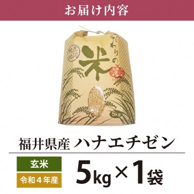 令和4年産ハナエチゼン(玄米)5kg