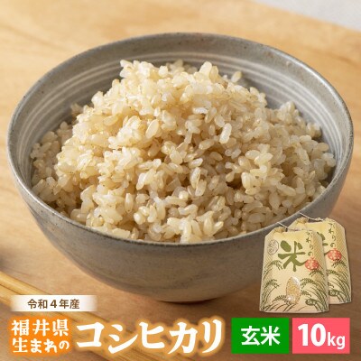 令和4年産コシヒカリ(玄米)10kg | お礼品詳細 | ふるさと納税なら