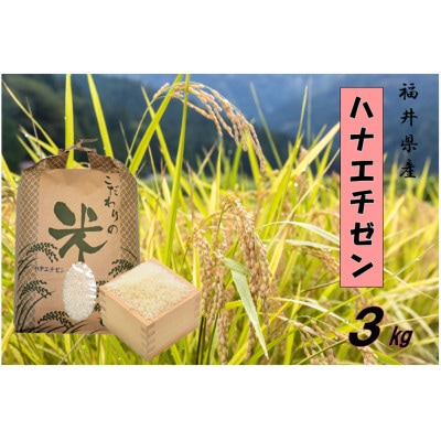 令和7年産　ハナエチゼン(精米)　3kg