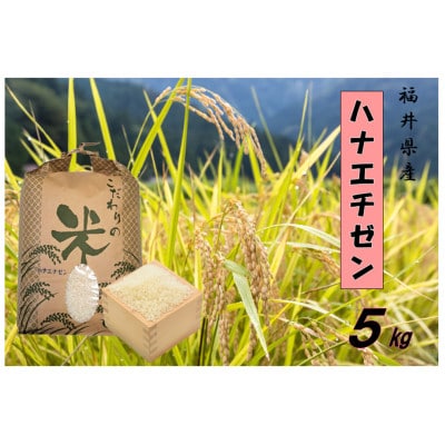 令和7年産　ハナエチゼン(精米)　5kg