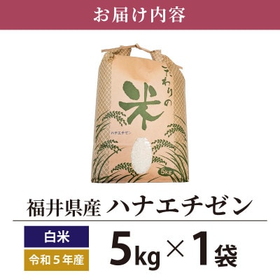 ◎通常 特別栽培米 ハナエチゼン【白米】 【5kg 真空袋】 〈農薬