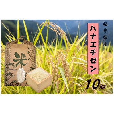 令和7年産　ハナエチゼン(精米)　10kg