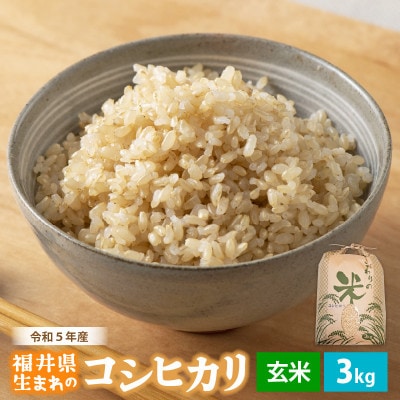 令和6年産　コシヒカリ(玄米)　3kg