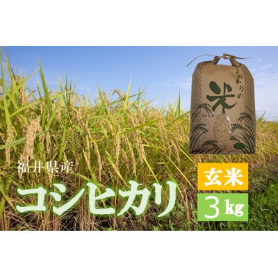 令和7年産　コシヒカリ(玄米)　3kg